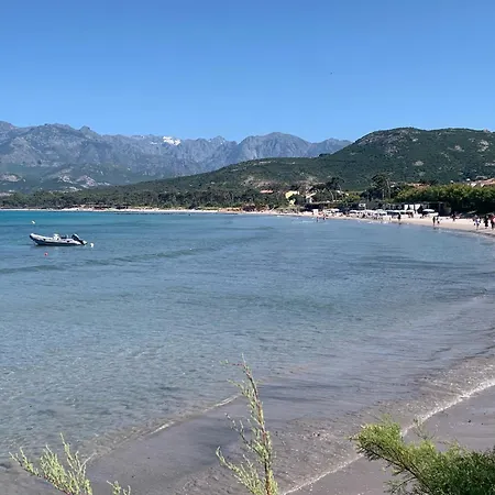 Corse Appt Cote Lägenhet