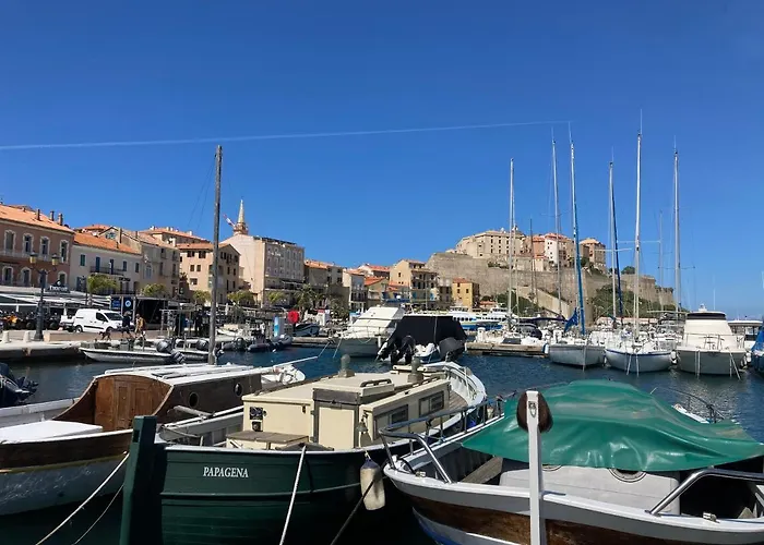 Corse Appt Cote Calvi (Corsica)