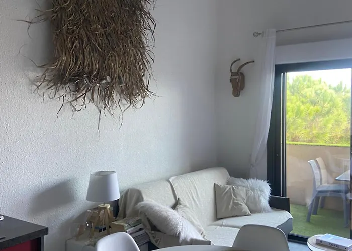 Corse Appt Cote * Calvi (Corsica)