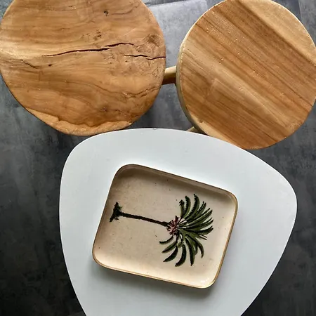 Corse Appt Cote Calvi