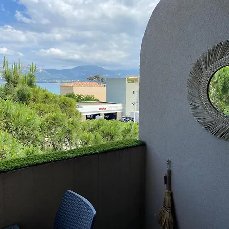 Corso Di Mare Calvi *