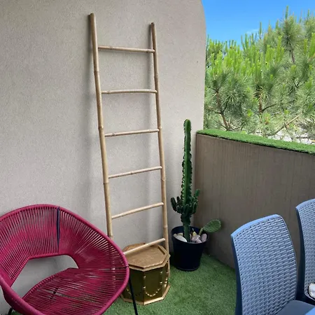 Corse Appt Cote * Calvi (Corsica)