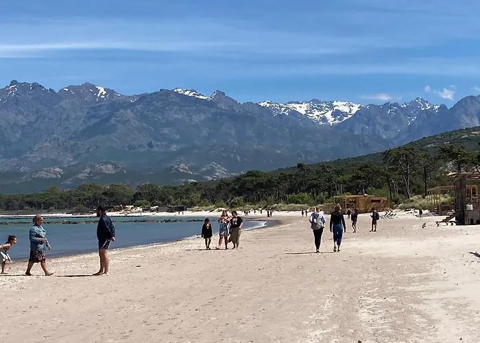 Corse Appt Cote Appartement *