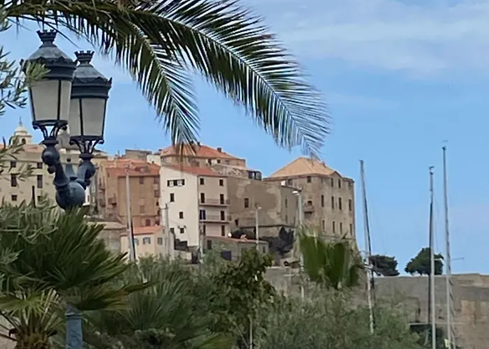 Corse Appt Cote Calvi (Corsica)