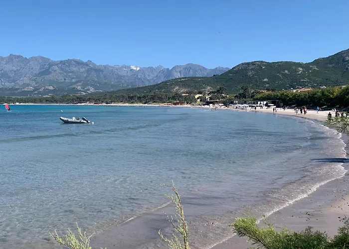 Corse Appt Cote Apartament